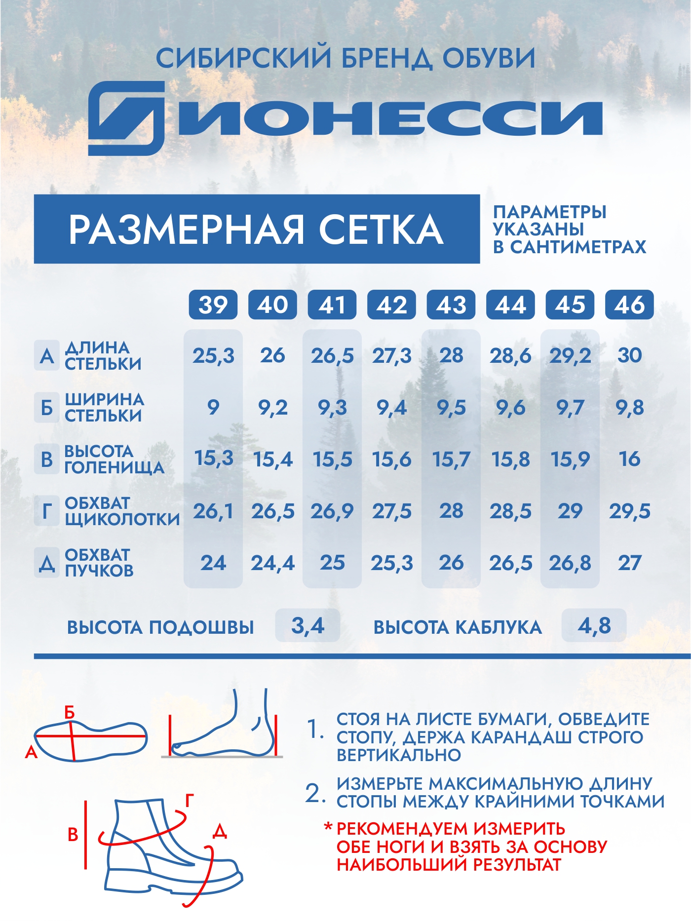 9-1608-021 Ботинки мужские Ионесси