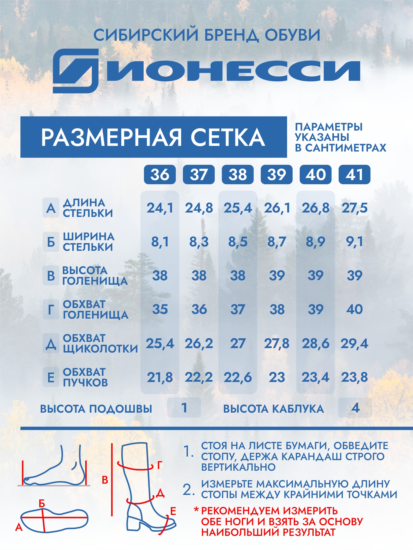 8-4437-041 Сапожки женские Ионесси