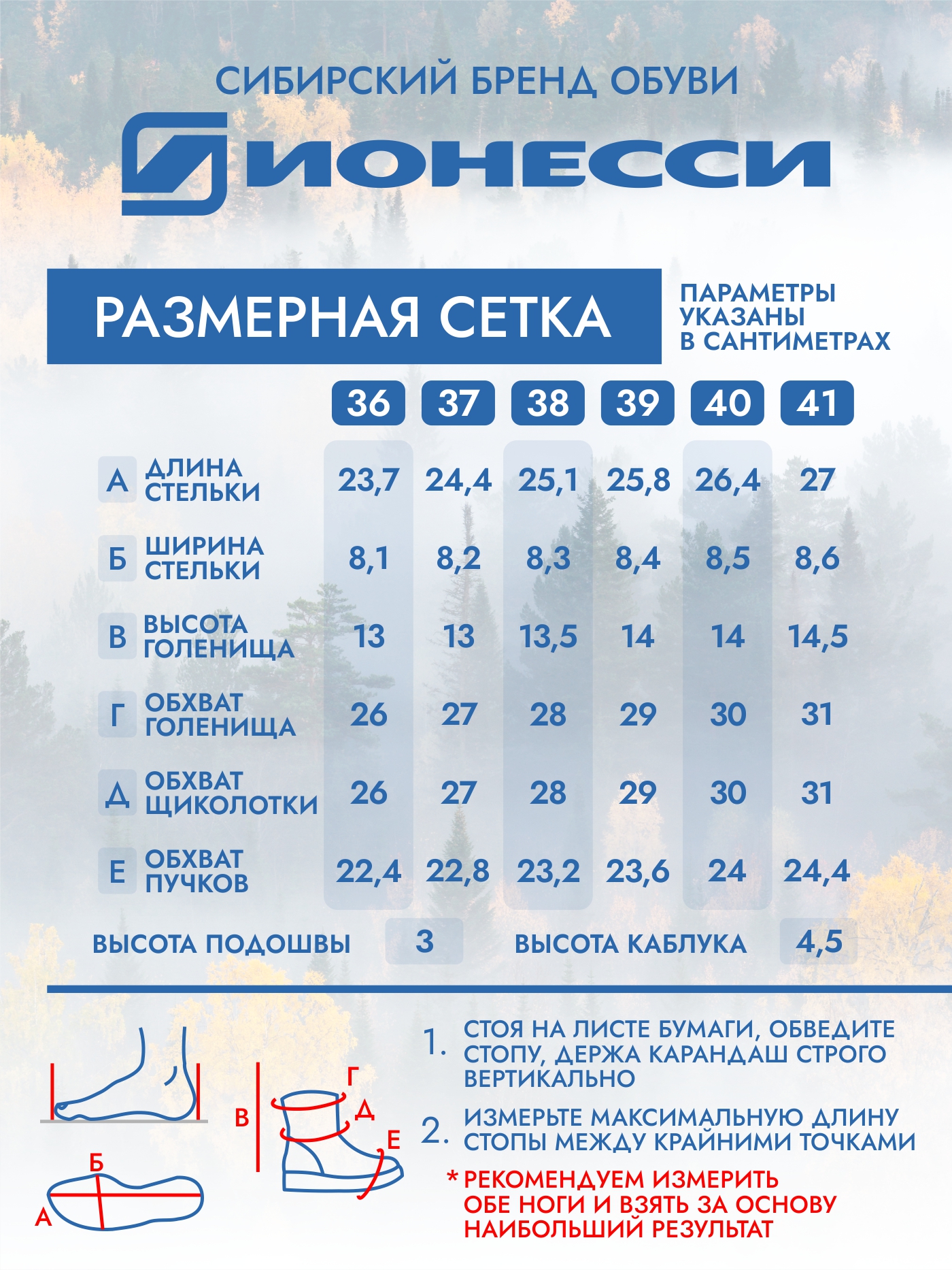 8-4419-041 Ботинки женские Ионесси