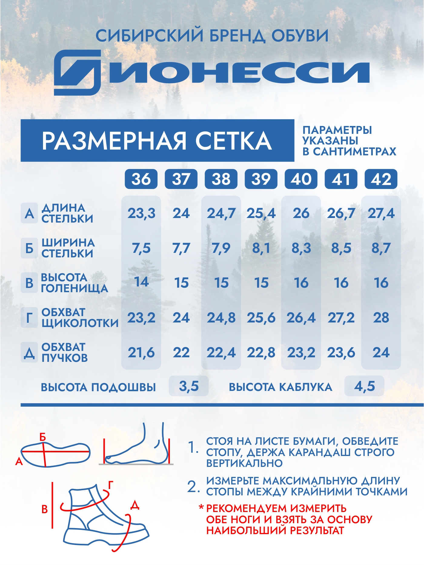 8-4409-442 Ботинки женские Ионесси