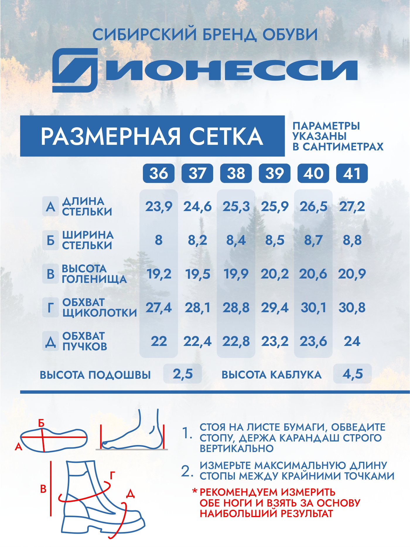 8-4421-041 Ботинки женские Ионесси