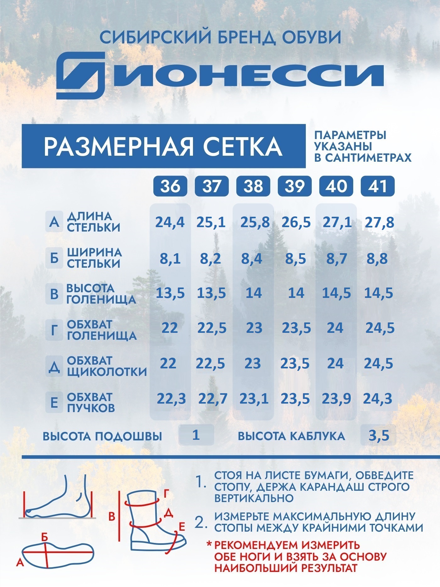 8-4373-321 Ботинки женские Ионесси