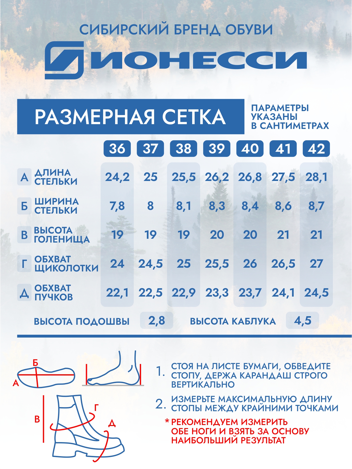 8-4425-041 Ботинки женские Ионесси