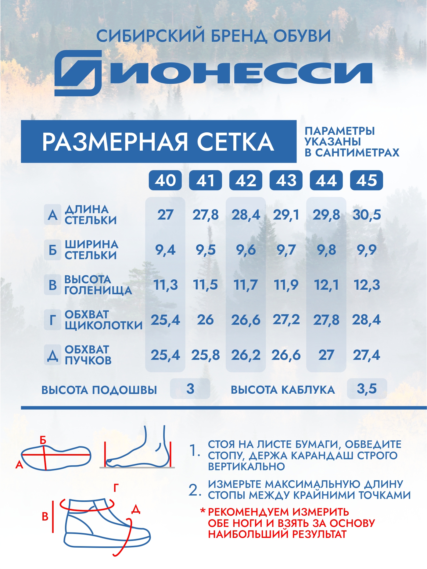 9-3950-021 Ботинки мужские Ионесси