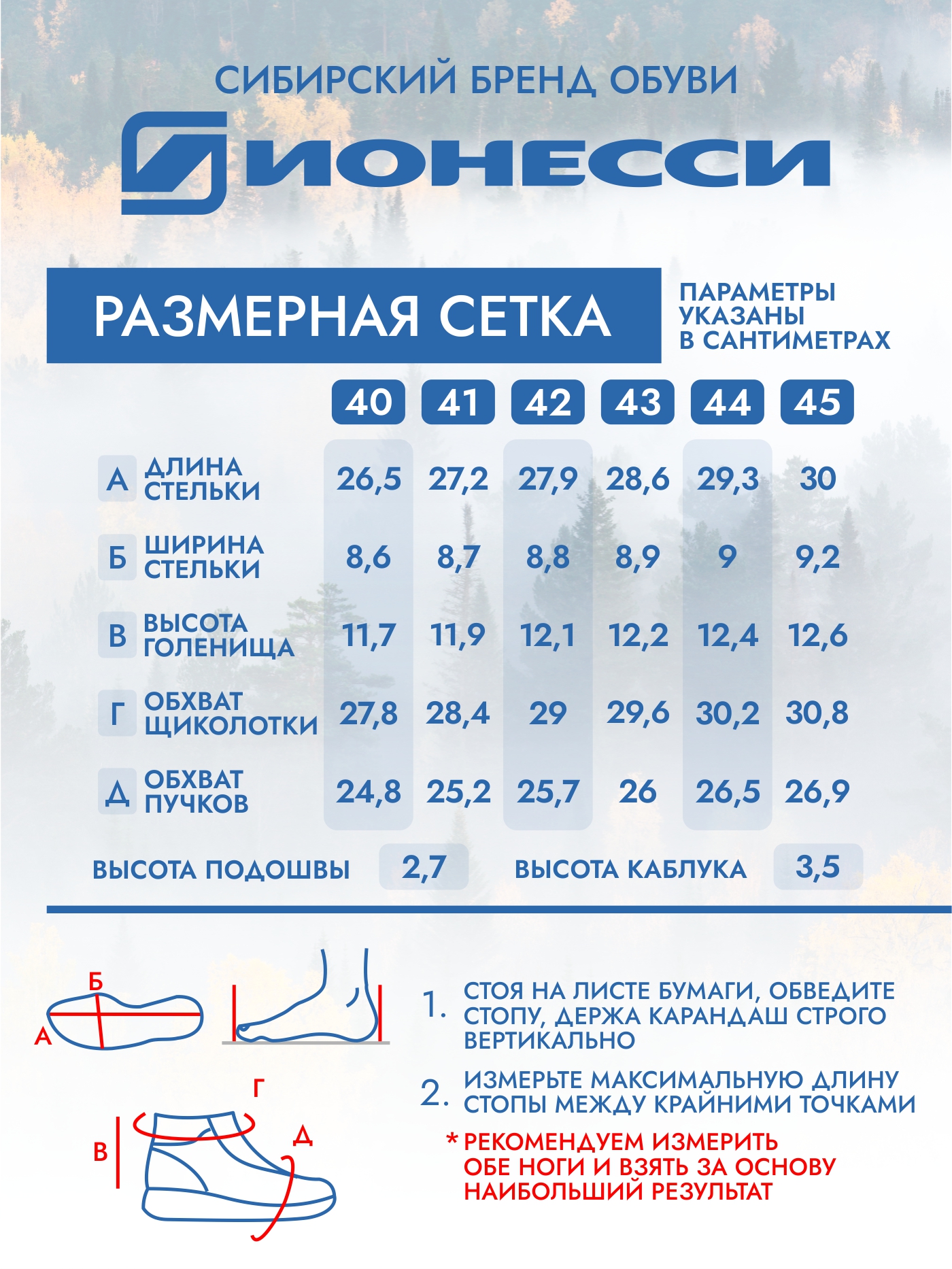 9-3956-441 Ботинки мужские Ионесси