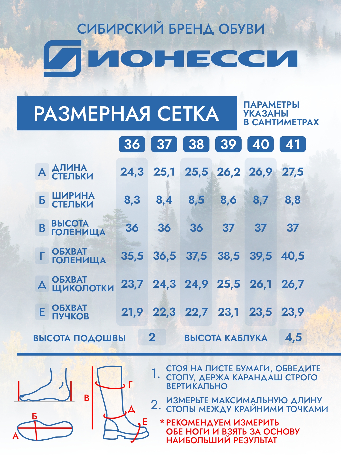 8-4432-021	Сапожки женские Ионесси