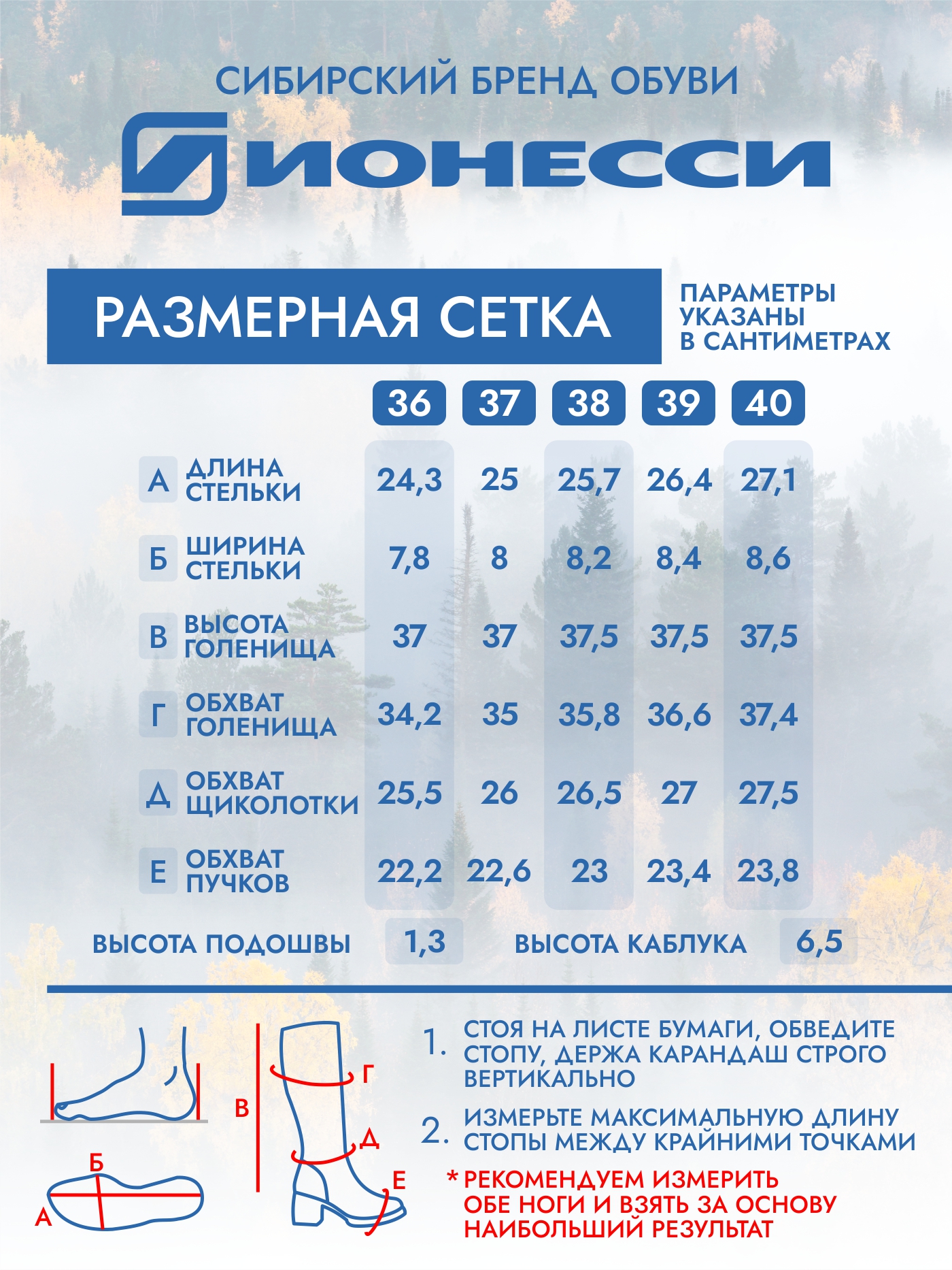 8-4370-021 Сапожки женские Ионесси